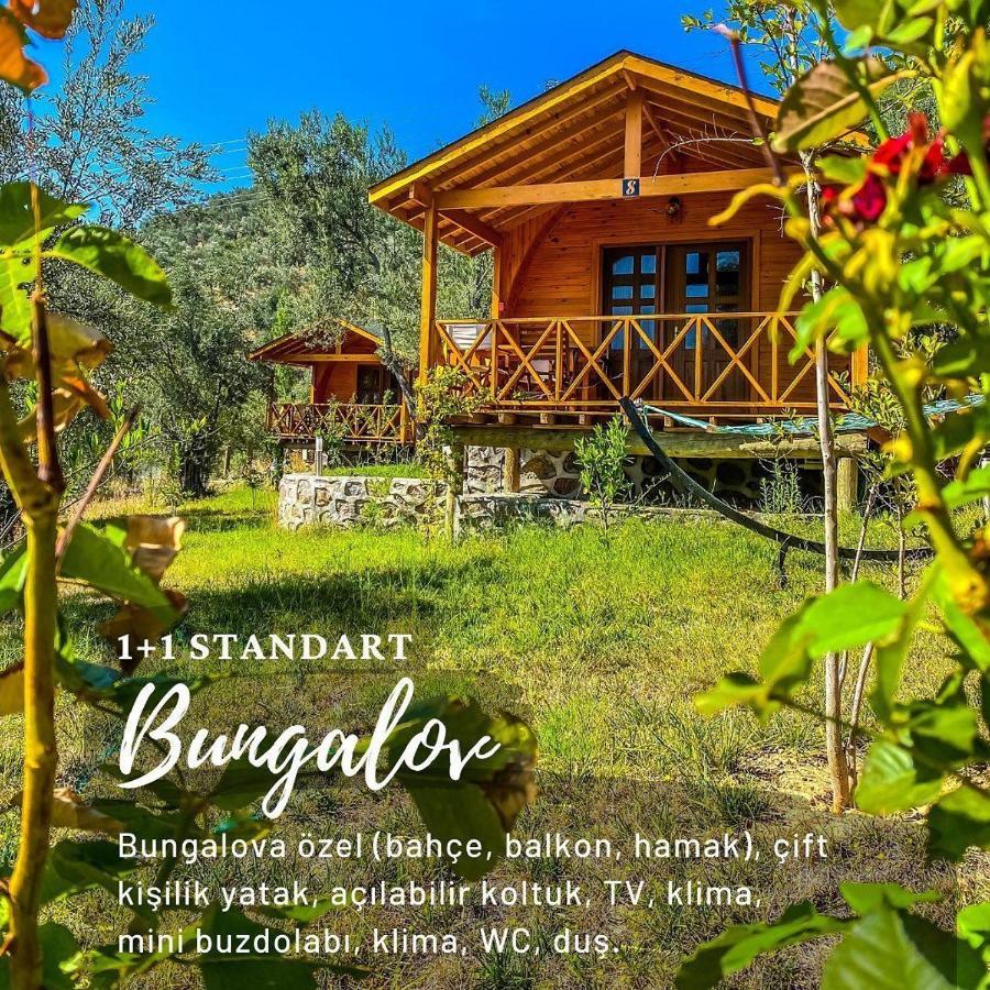 Hotel Kazdaglari Saglikli Yasam Koeyue à Edremit  Extérieur photo